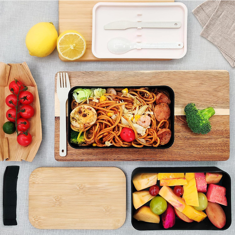 Japanese Double Layer Bento Lu - огляд і ціна Meal Prep Japanese Food