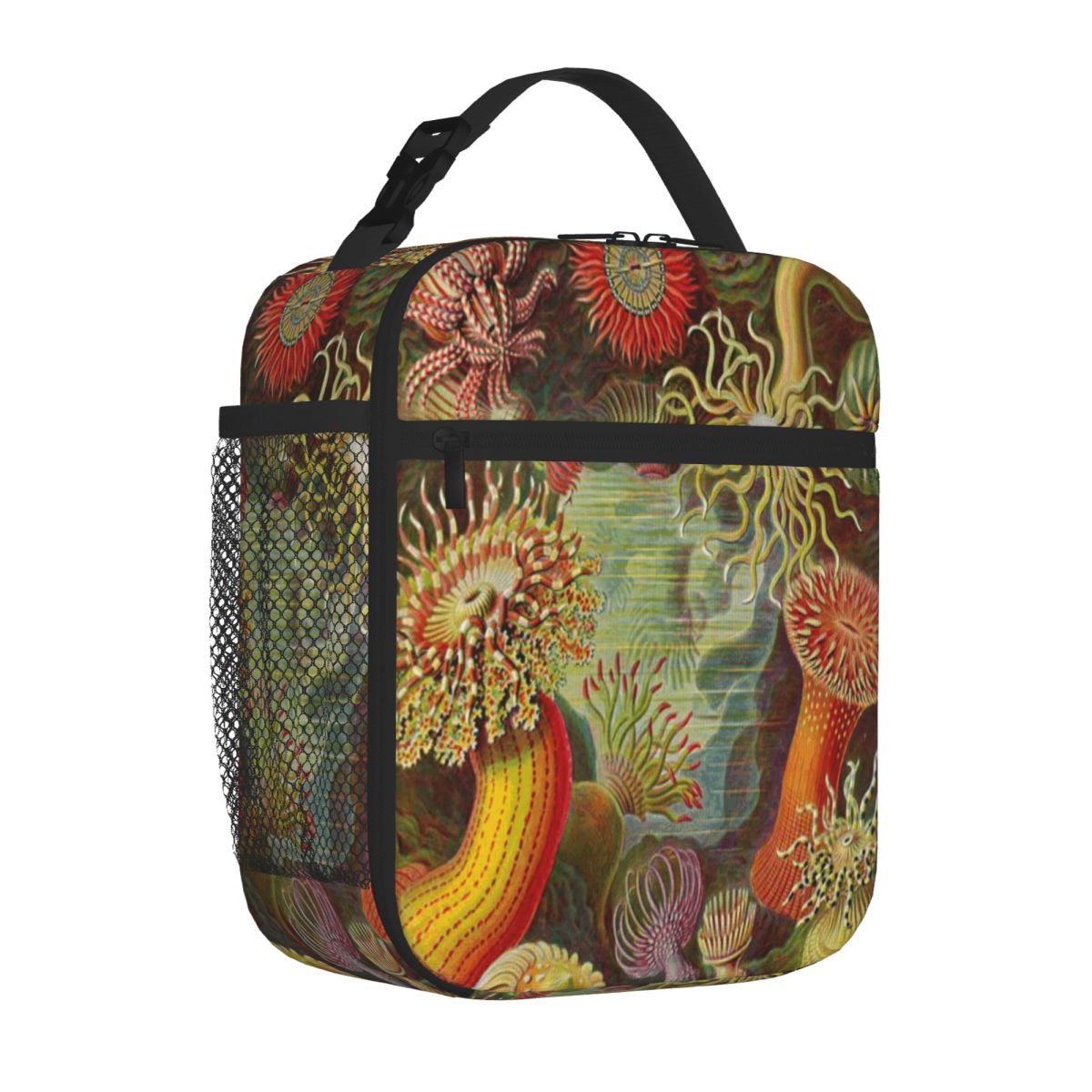 Hot Sale Sea Anemone - Ernst H - огляд і ціна Meal Prep Diet