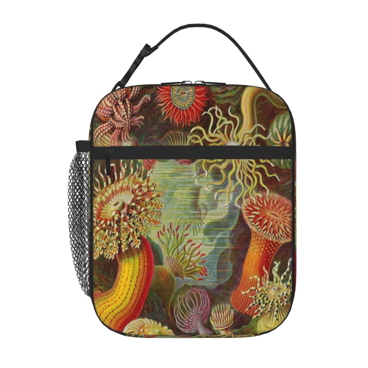 Hot Sale Sea Anemone - Ernst H - огляд і ціна Meal Prep Diet
